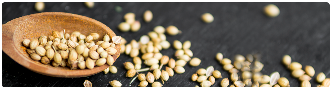 Coriander Seeds